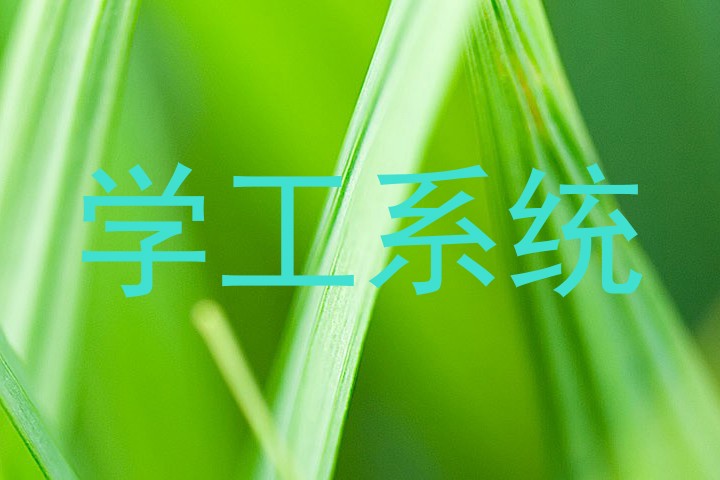 学工系统
