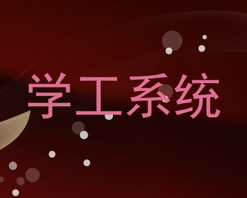学工系统