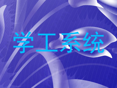 学工系统