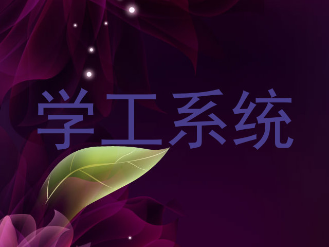 学工系统