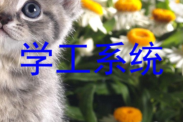 学工系统