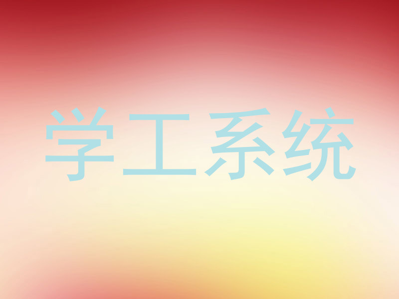 学工系统