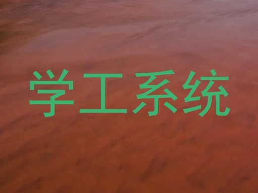 学工系统
