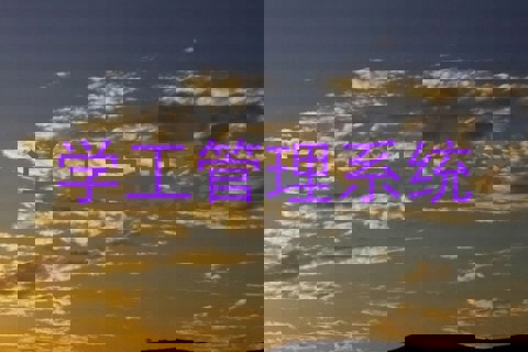学工管理系统