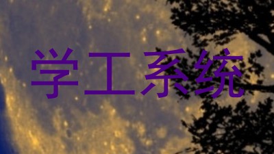 学工系统