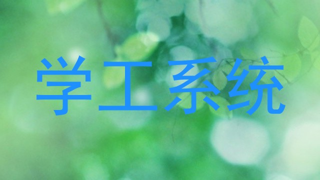 学工系统