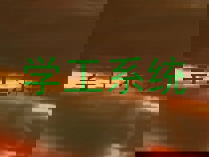 学工系统
