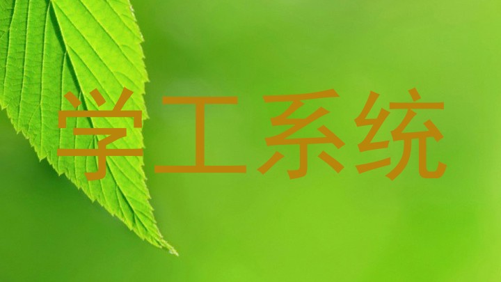 学工系统