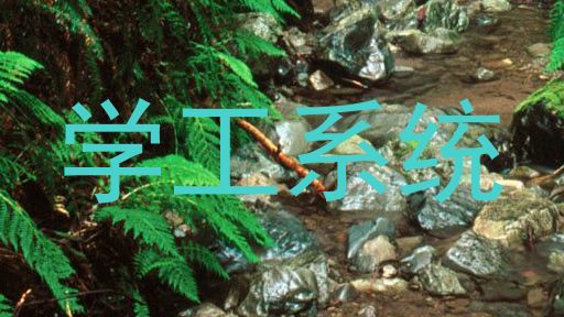 学工系统