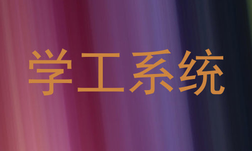 学工系统