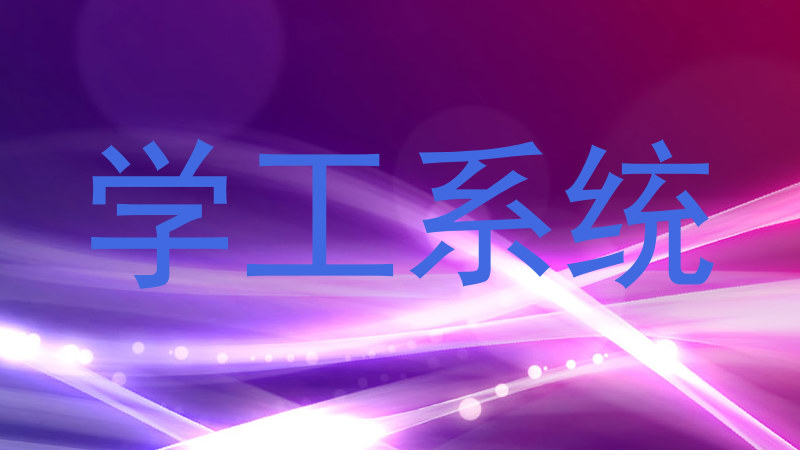 学工系统