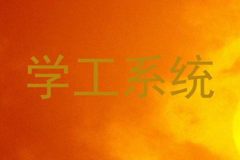 学工系统
