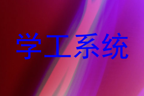 学工系统