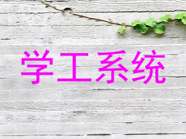 学工系统