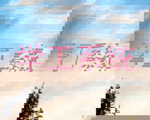 学工系统