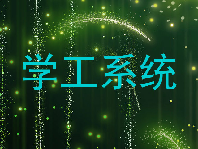 学工系统
