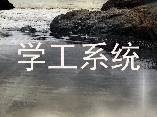 学工系统