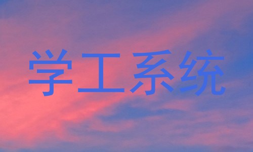 学工系统