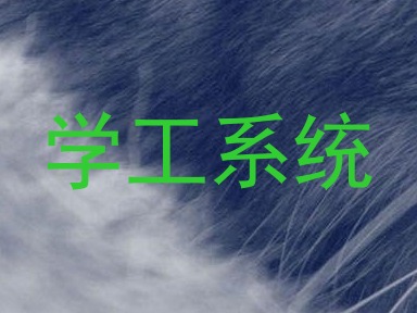 学工系统