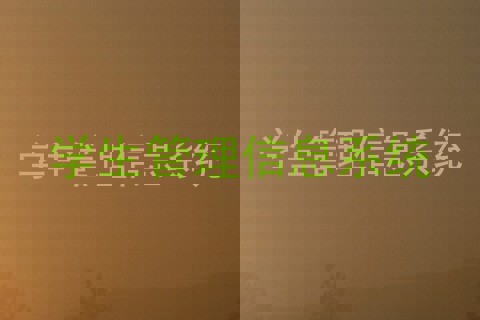 学生管理信息系统