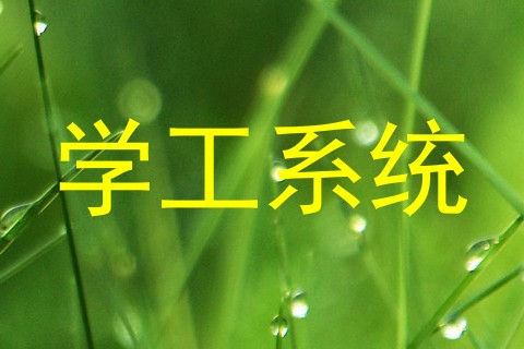 学工系统