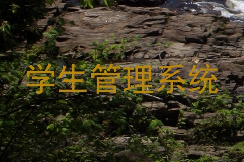 学生管理系统