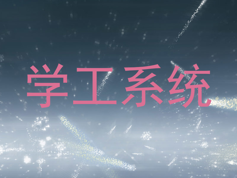 学工系统