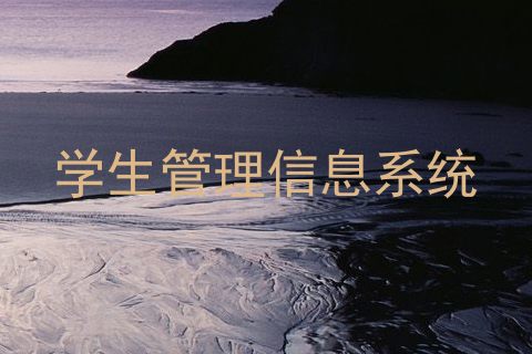 学生管理信息系统