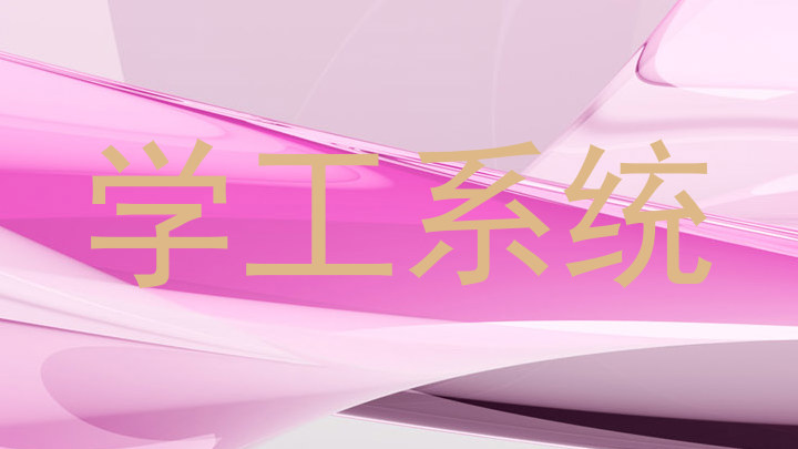 学工系统