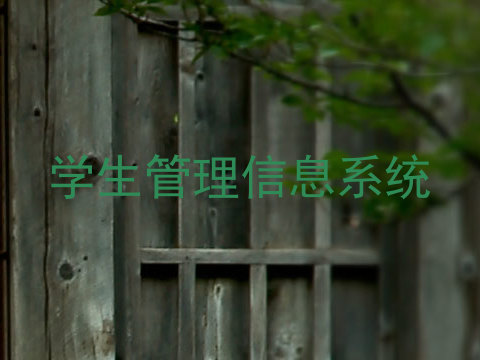 学生管理信息系统