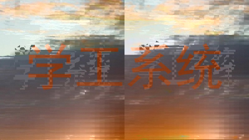 学工系统