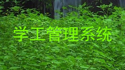 学工管理系统