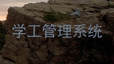 学工管理系统