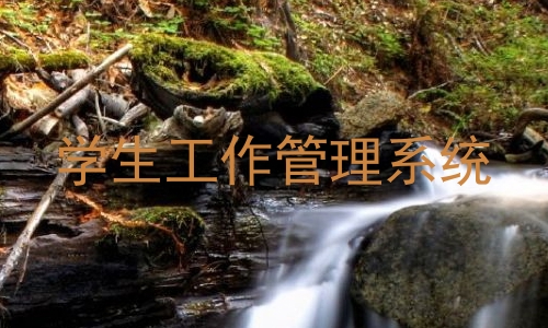 学生工作管理系统