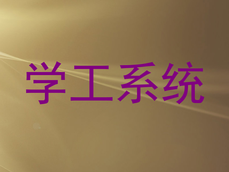 学工系统