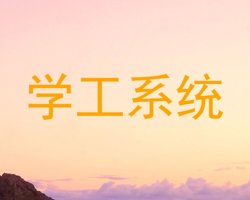 学工系统