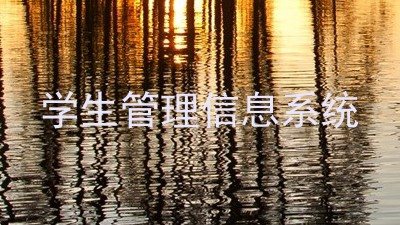 学生管理信息系统