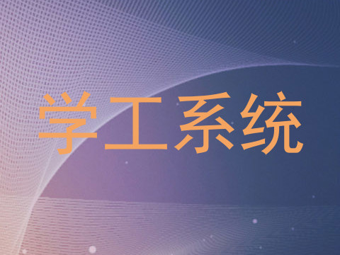 学工系统