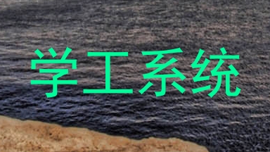 学工系统