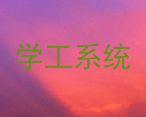 学工系统