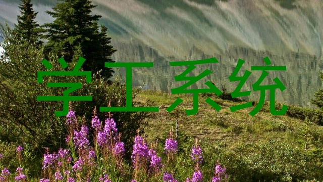 学工系统