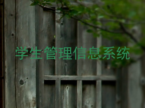 学生管理信息系统