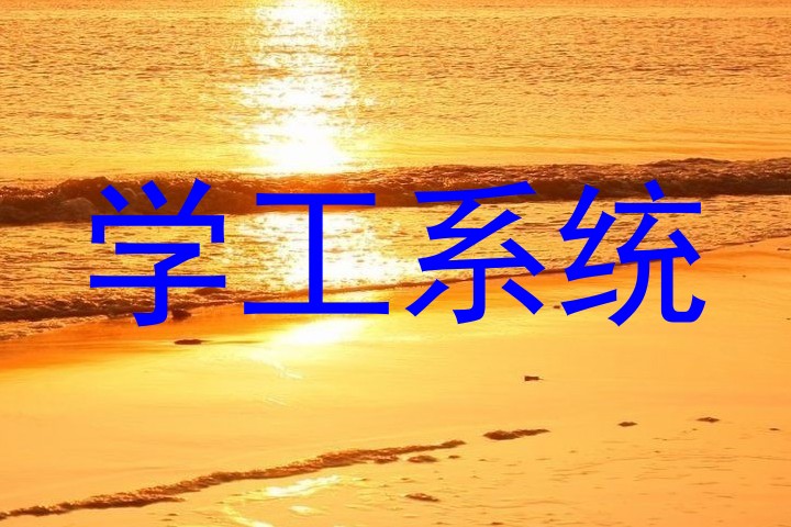 学工系统