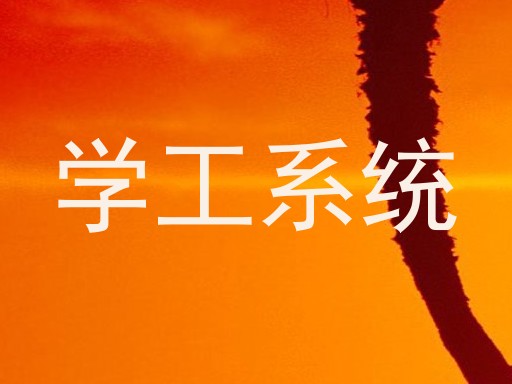 学工系统