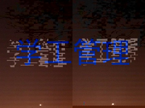 学工管理