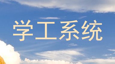 学工系统