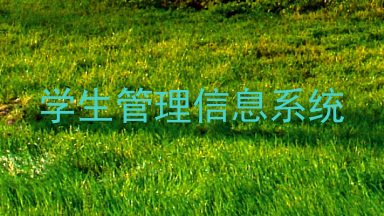 学生管理信息系统