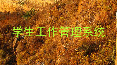 学生工作管理系统