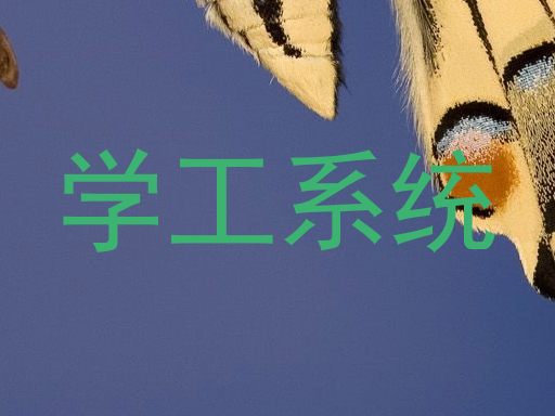 学工系统