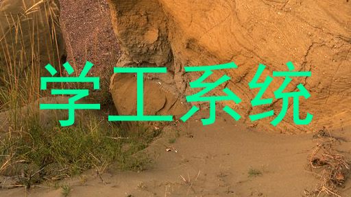 学工系统